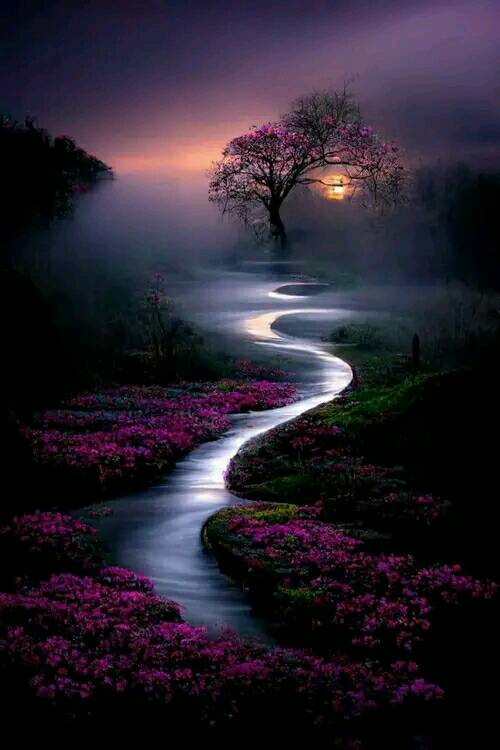 Attractive Moon and sunset (13)