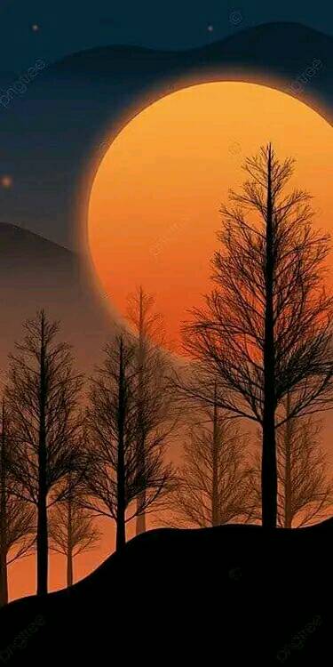 Attractive Moon and sunset (17)