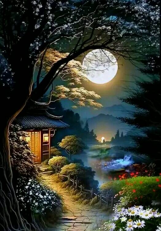 Attractive Moon and sunset (22)