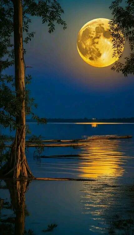 Attractive Moon and sunset (24)