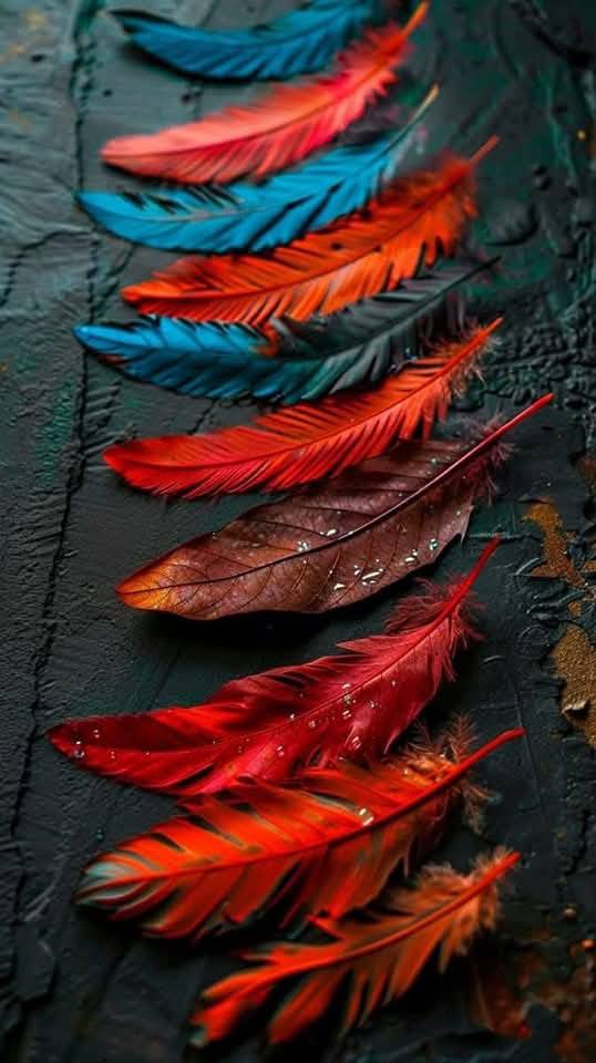 Beautiful Wallpaper 2025 (4)