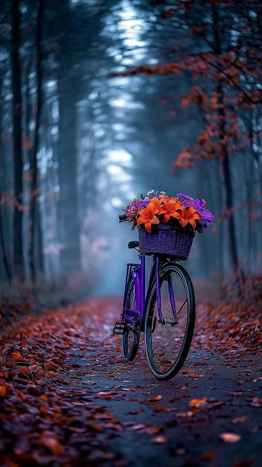 Beautiful Wallpaper 2025 (12)