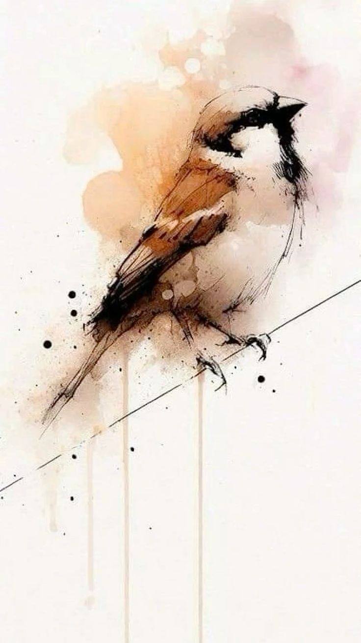 Bird Drawing Illustration (1)