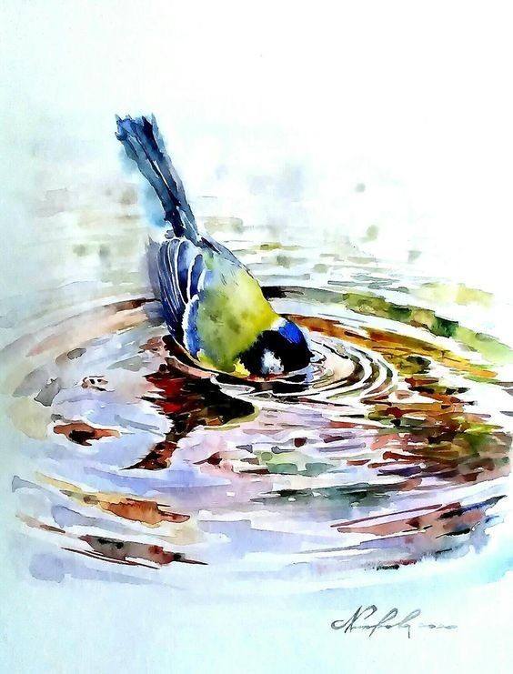 Bird Drawing Illustration (7)