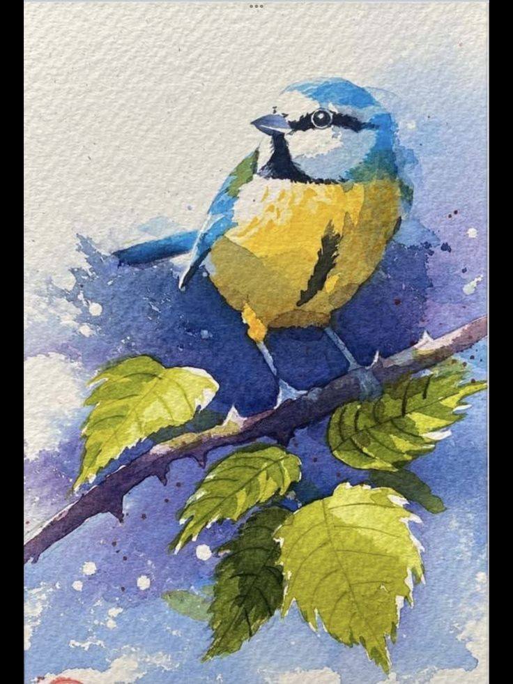 Bird Drawing Illustration (15)