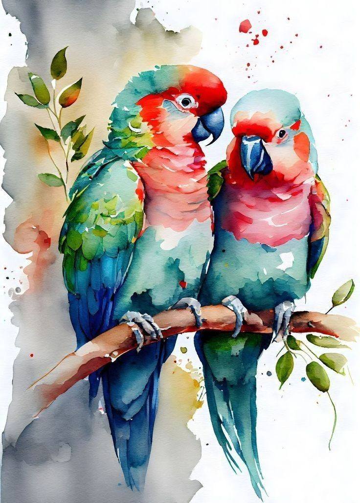 Bird Drawing Illustration (17)