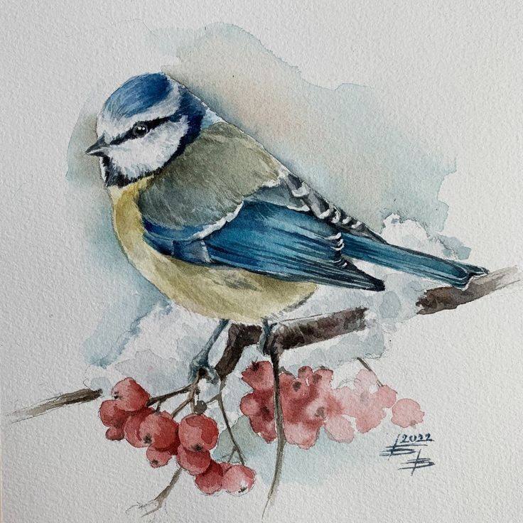 Bird Drawing Illustration (25)