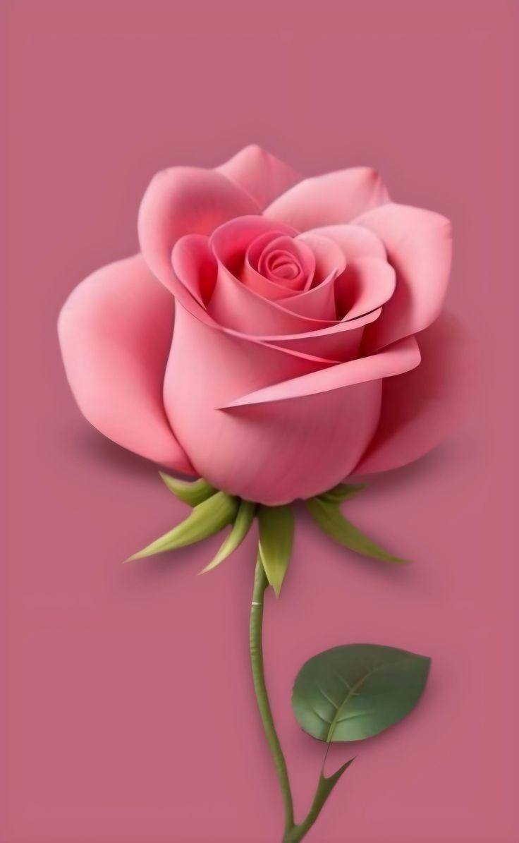 Rose Flower Art (2)