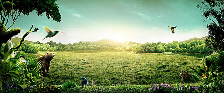 3D Animated Nature Background