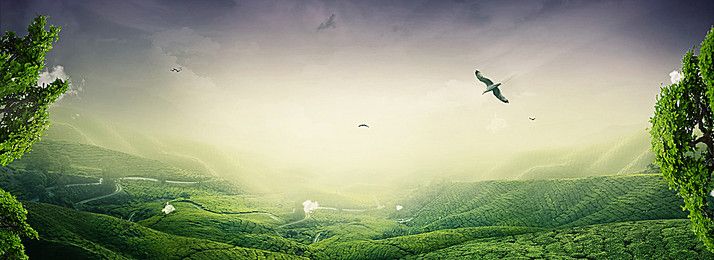 Green Color Banner Image