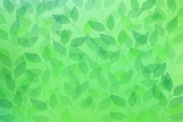 Green Leaf Background