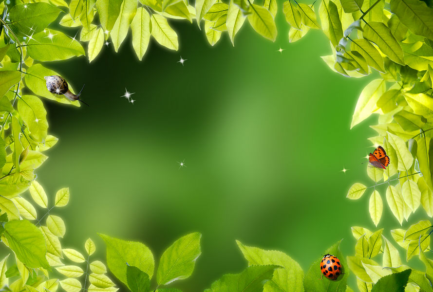 Green Wallpaper Background Image (1)