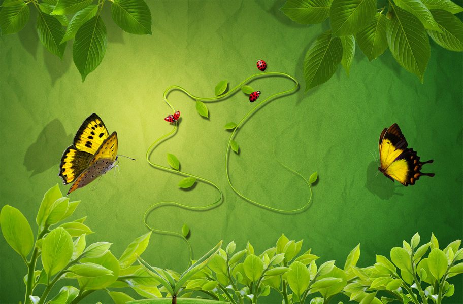 Green Wallpaper Background Image (3)
