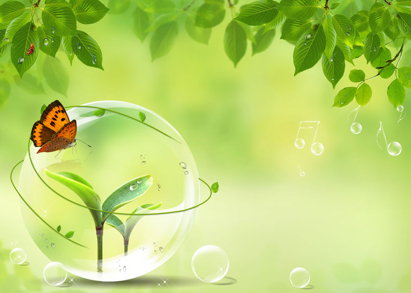 Green Wallpaper Background Image (4)