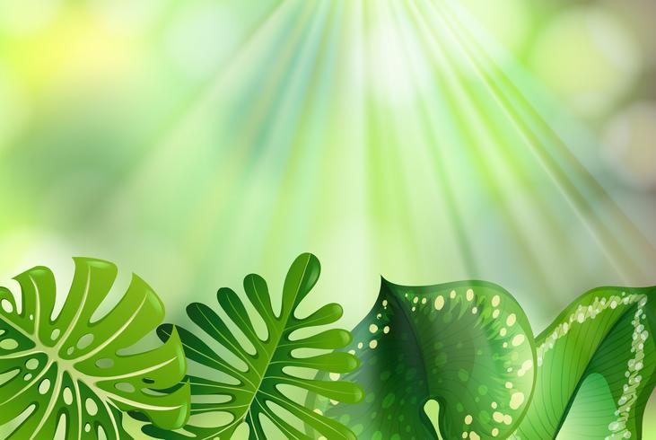 green nature background vector