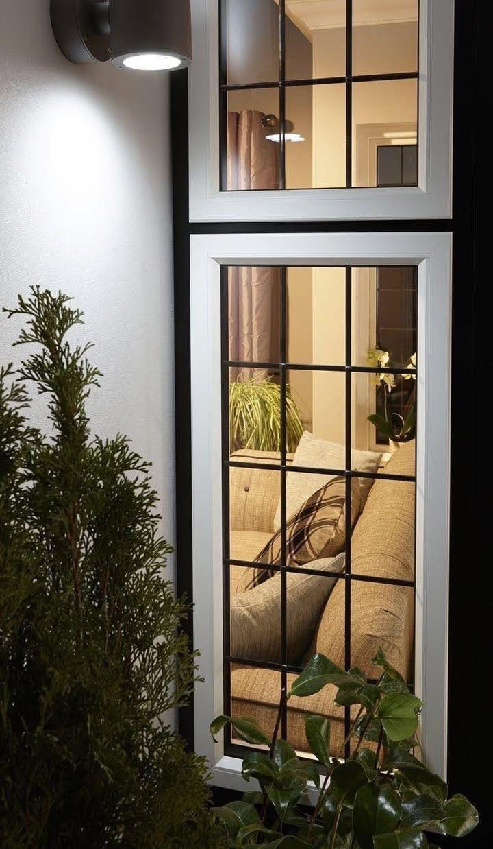 Modern Window Grills (23)