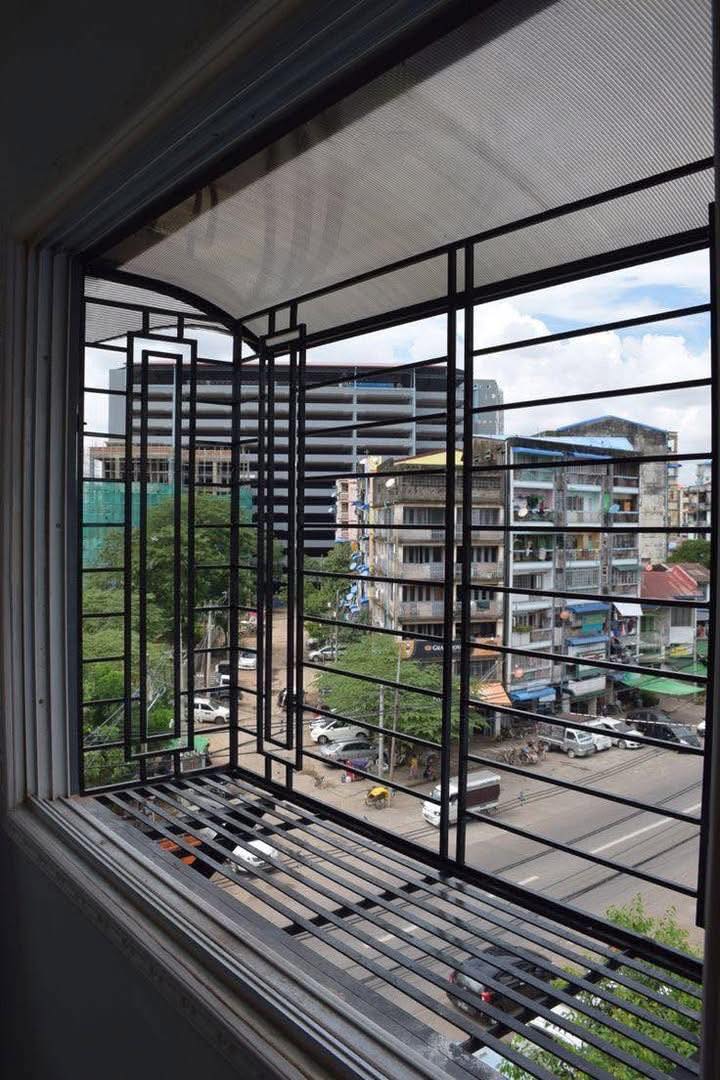 Modern Window Grills (34)