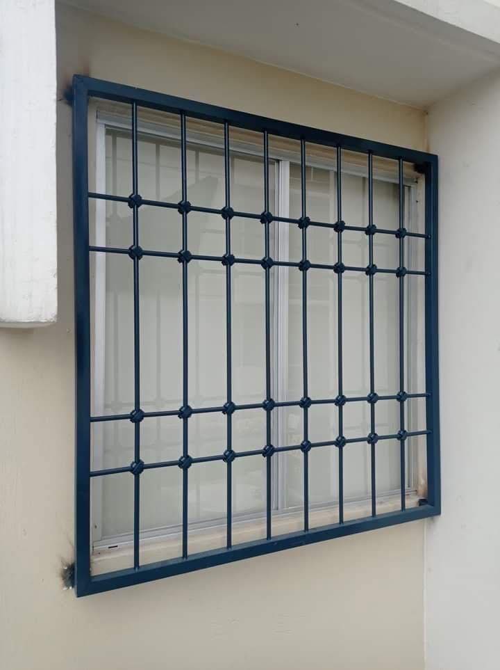 Modern Window Grills (43)