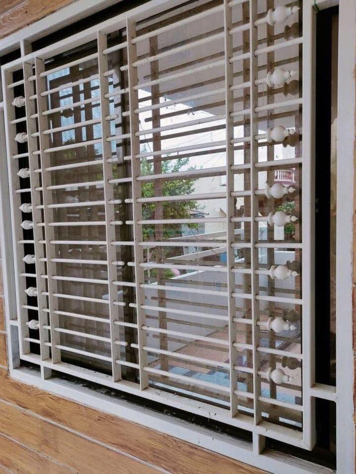 Modern Window Grills (44)