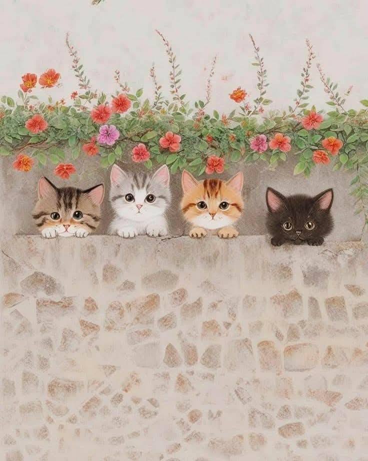 Pet Cat Art and Creative (24)