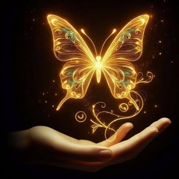 Beautify Butterfly Image forever (33)