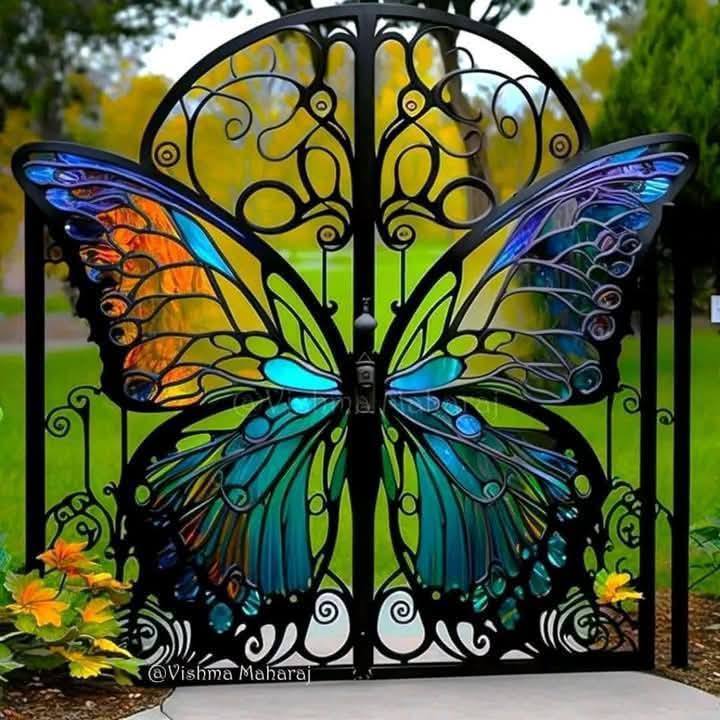 Beautify Butterfly Image forever (47)