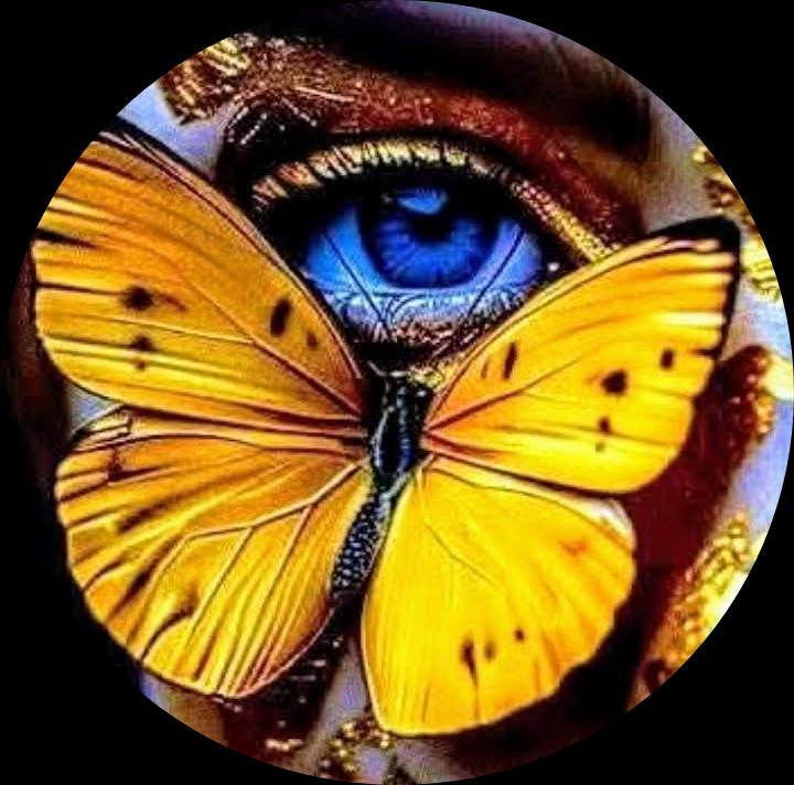 Beautify Butterfly Image forever (52)