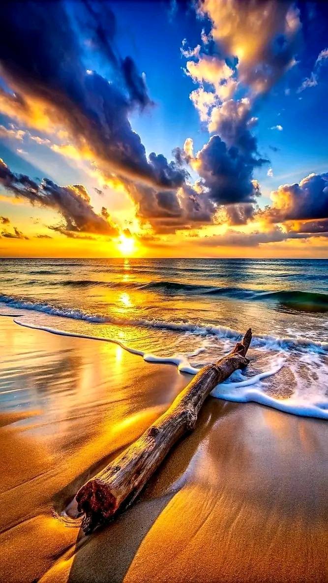 Wonderful Natural Wallpaper (3)