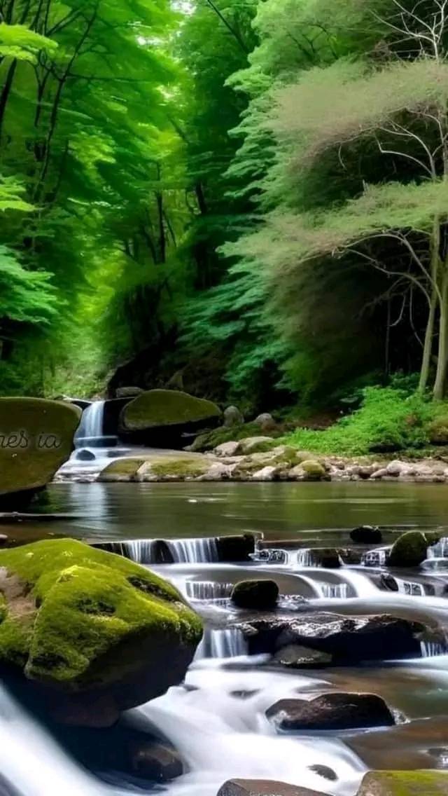 Wonderful Natural Wallpaper (6)