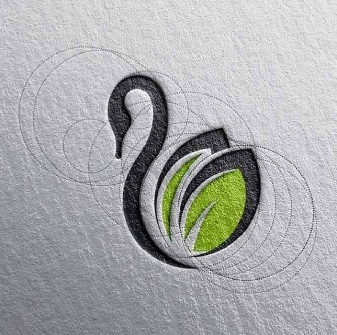 Brand Logo Design Raw File (23)