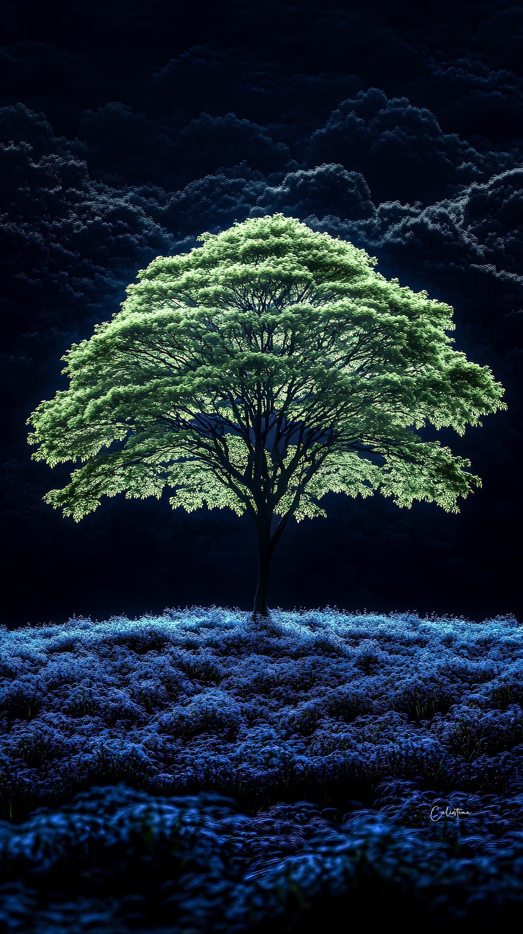 So nice and beautiful nature (10)