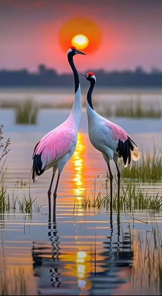 So nice and beautiful nature (18)