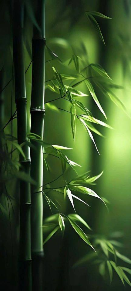 Awesome and attractive natural wallpaper (2)