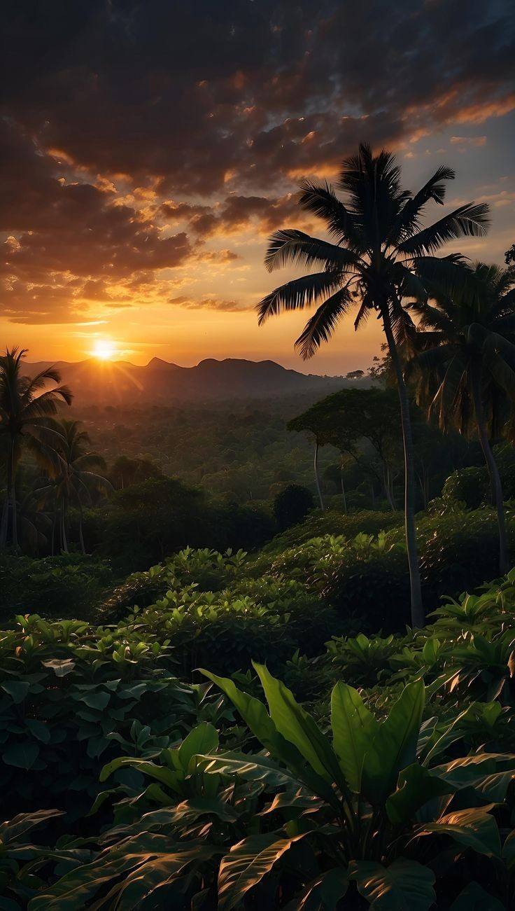 Awesome and attractive natural wallpaper (9)