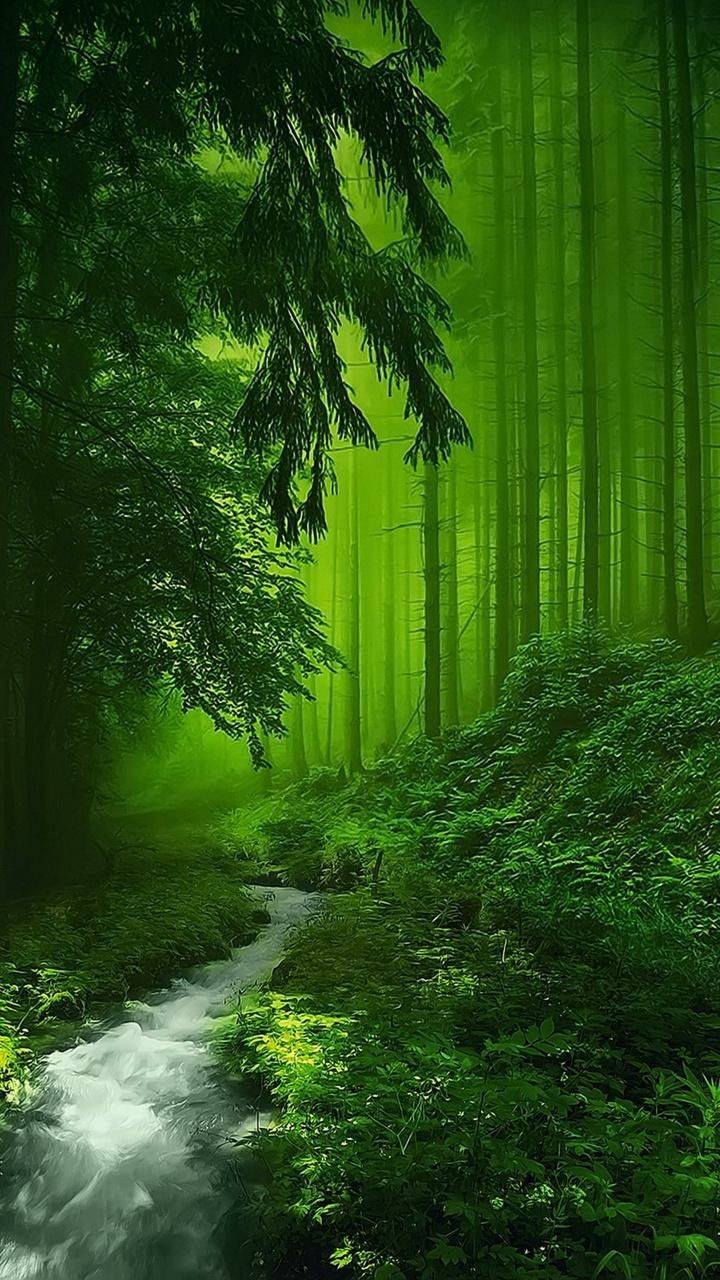Awesome and attractive natural wallpaper (13)