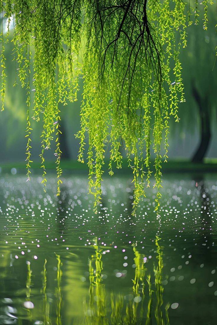Awesome and attractive natural wallpaper (17)