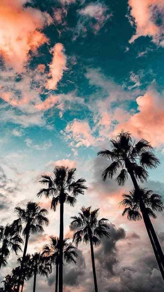 Awesome and attractive natural wallpaper (20)