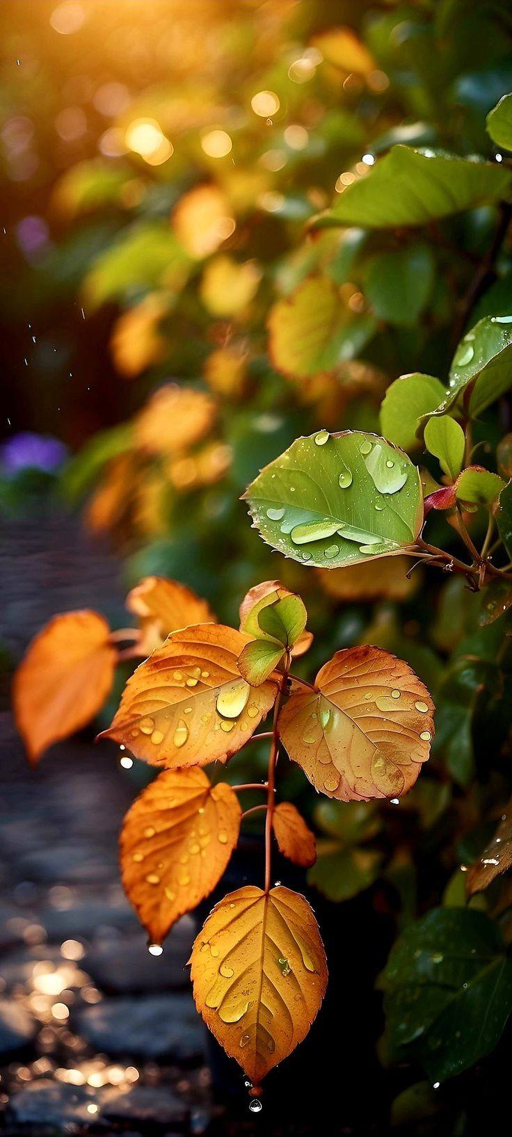 Awesome and attractive natural wallpaper (22)