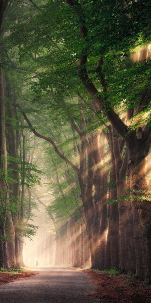 Awesome and attractive natural wallpaper (30)