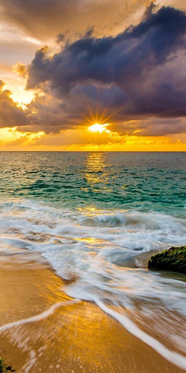Awesome and attractive natural wallpaper (31)