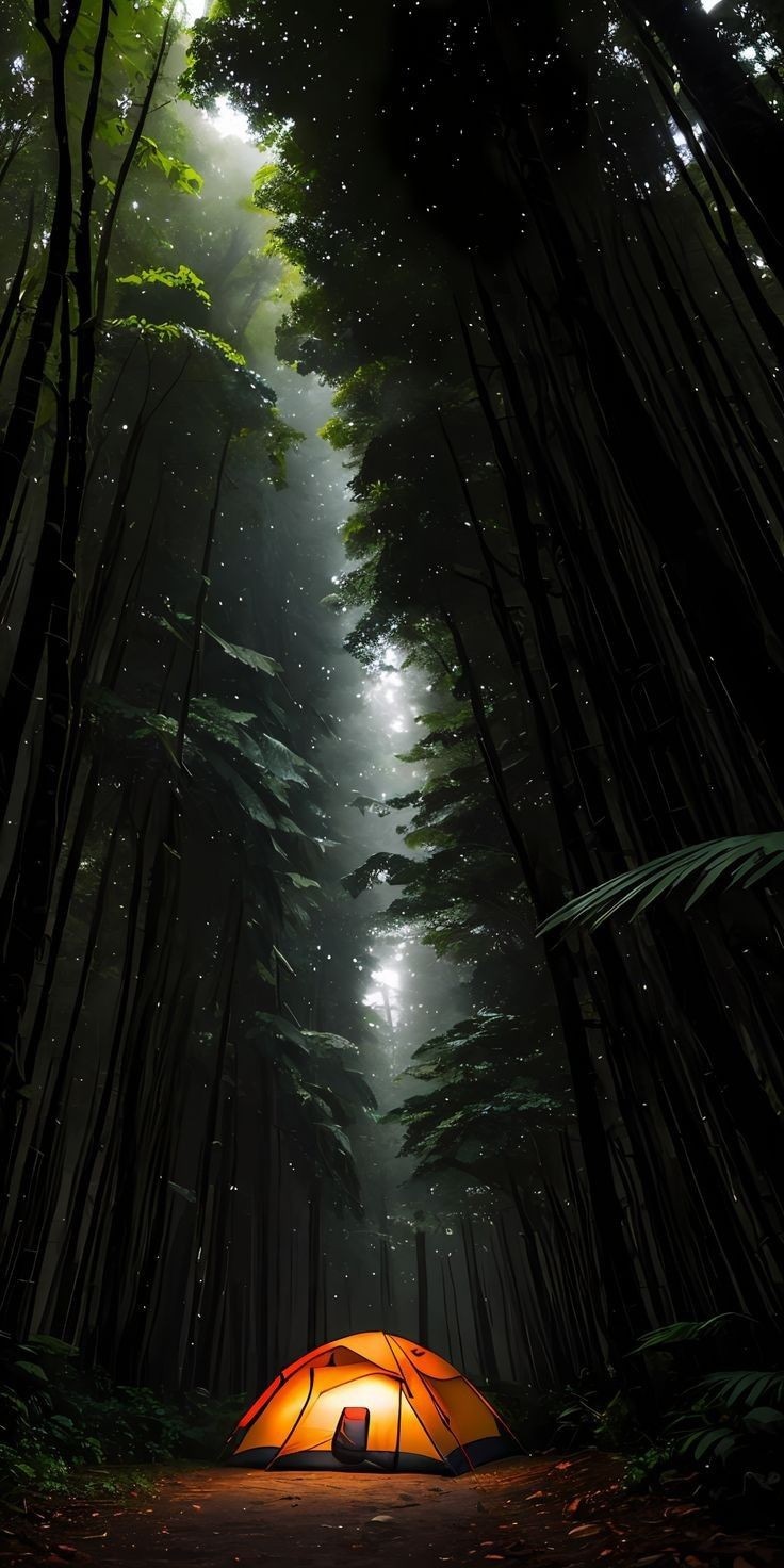 Beautiful Wallpaper (12)