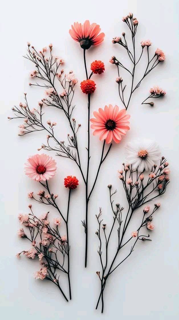 Floral Art Wallpaper (22)