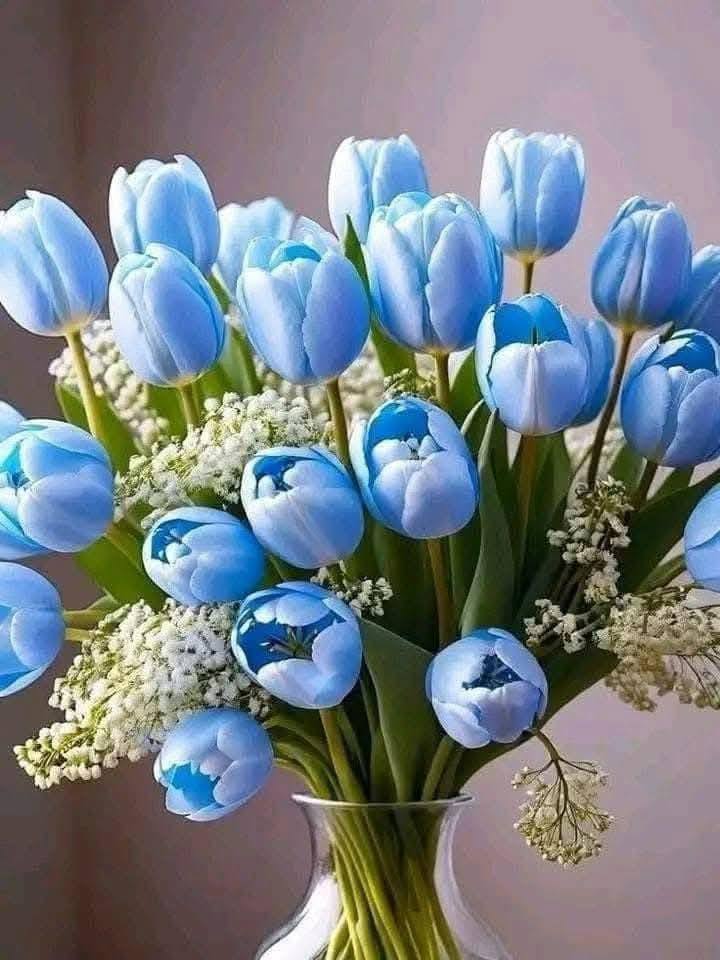 Blue Floral Collection (1)