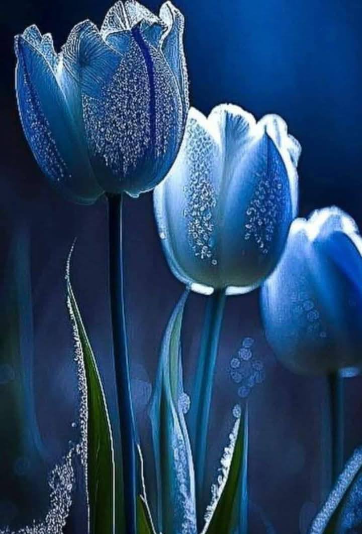 Blue Floral Collection (2)