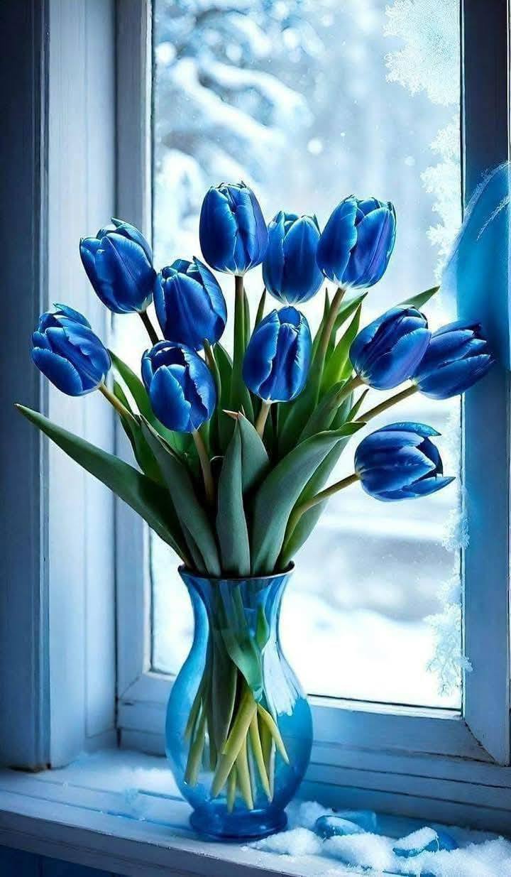 Blue Floral Collection (11)