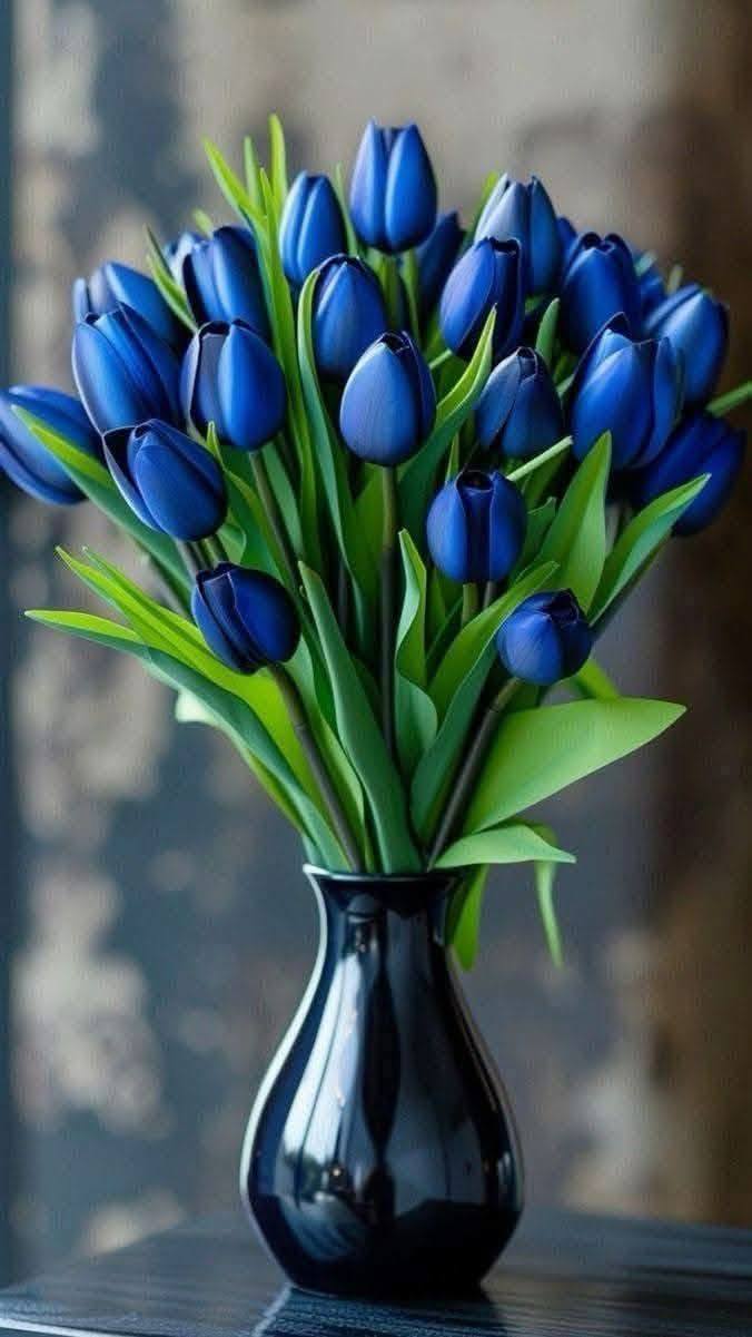 Blue Floral Collection (19)