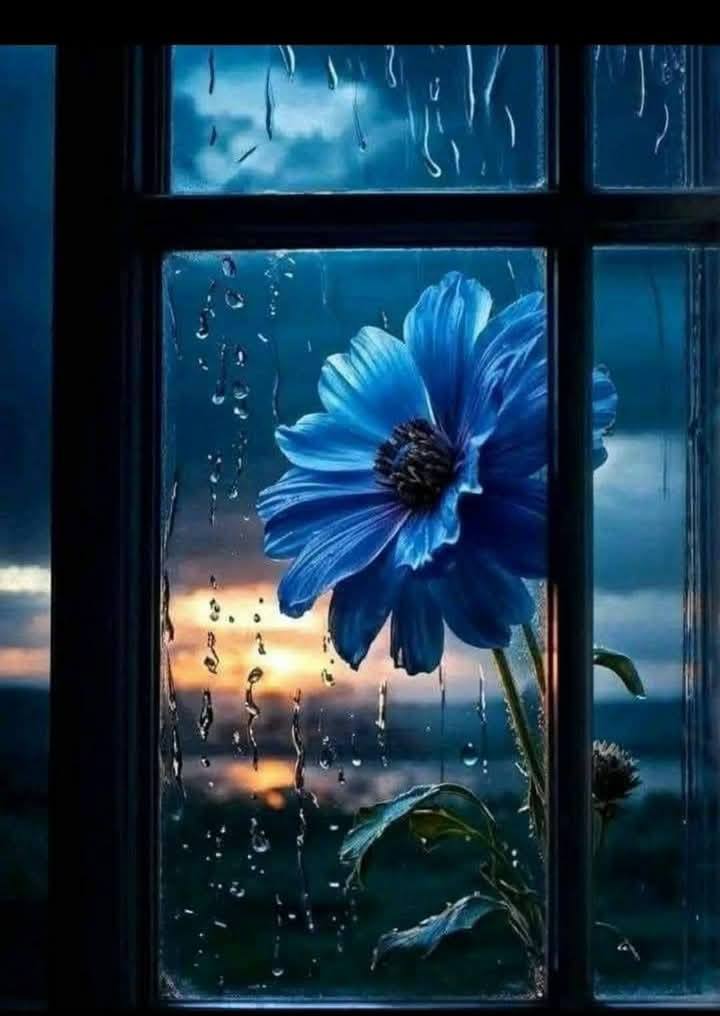 Blue Floral Collection (29)