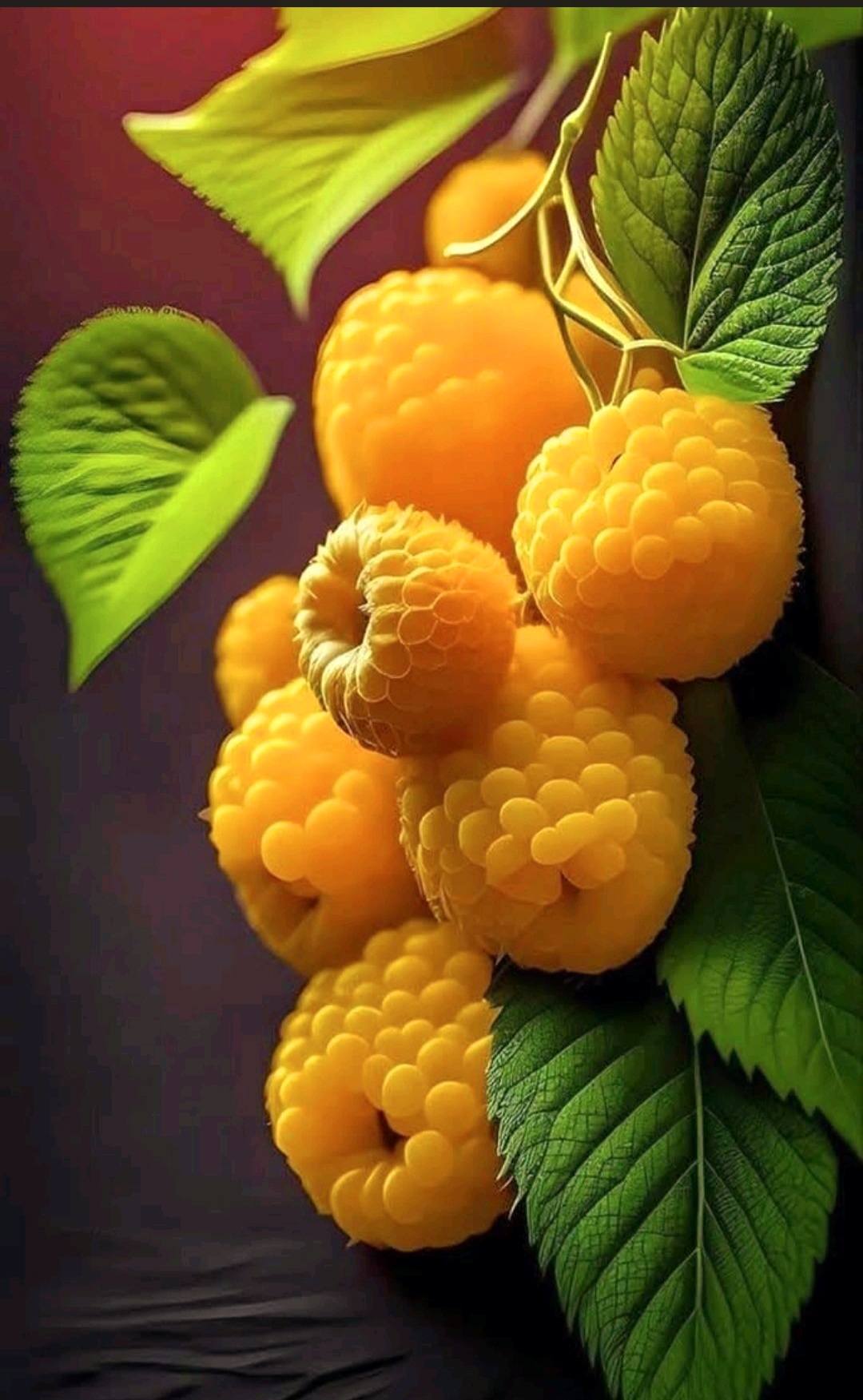 Wonderful Yellow Floral Image (1)