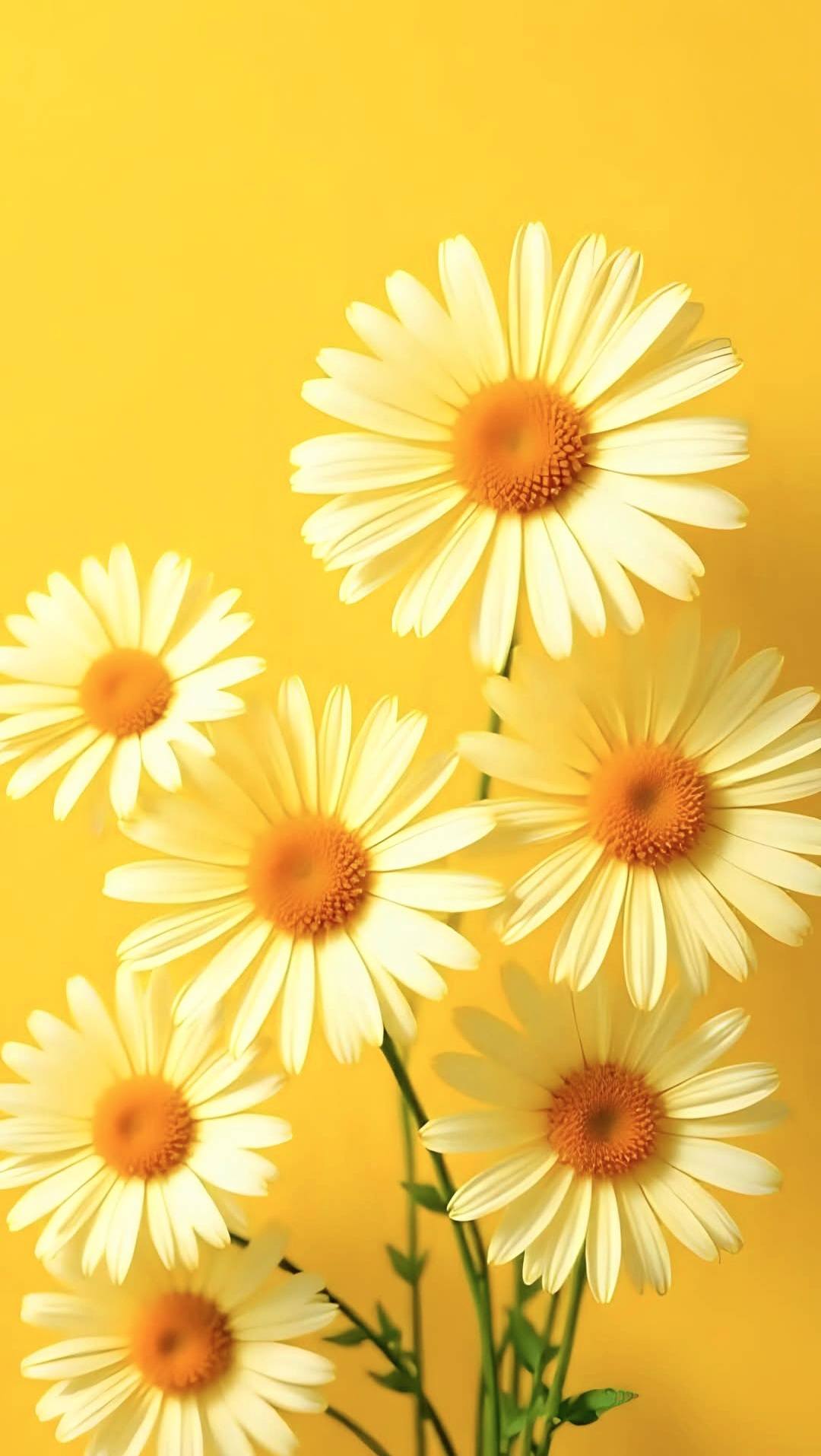 Wonderful Yellow Floral Image (24)
