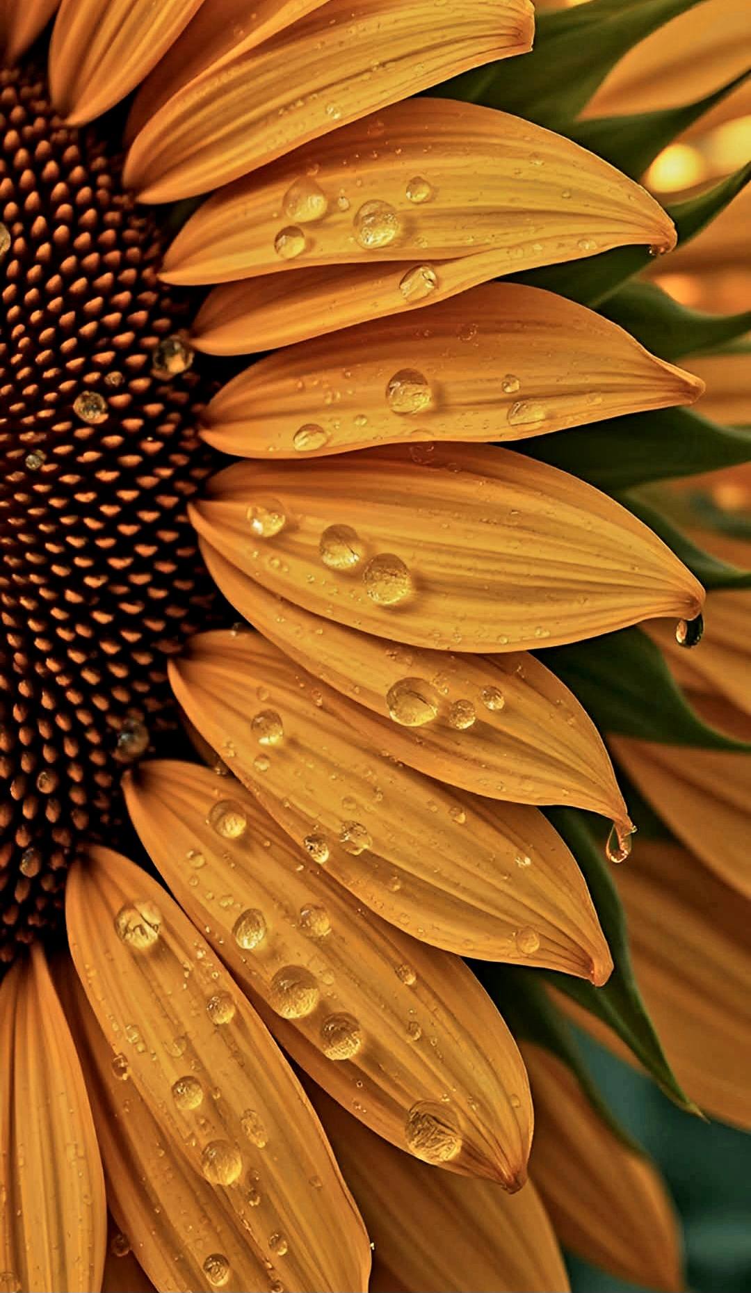 Wonderful Yellow Floral Image (30)